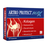 Artro Protect Max, 60 gélules