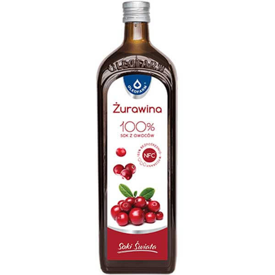 Succo di mirtilli freschi - 100% fruttato, bottiglia da 980 ml