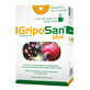 Griposan Plus, 2 gx 10 sachets