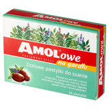 AMOLowe pour la Gorge, pastilles aux herbes, 16 pièces