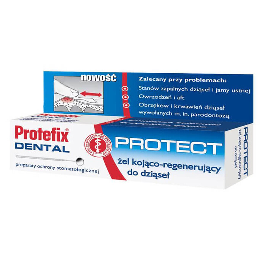 Protefix Dental Protect, gel apaisant et régénérant pour gencives, 10 ml