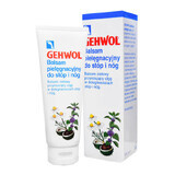 Gehwol Bein Balsam, foot and leg care lotion, 125 ml