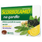 Scorbolamide pour la Gorge, pastilles aux herbes, 16 pi&#232;ces DATE COURTE