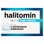 Halitomine, 30 pastilles