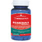 Berb&#233;rine bio-active, 60 g&#233;lules, Herbagetica