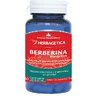 Berbérine bio-active, 60 gélules, Herbagetica