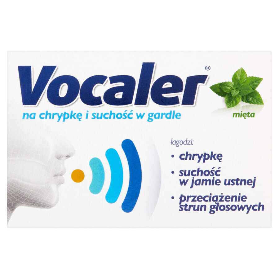 Vocaler, menthe, 12 pastilles