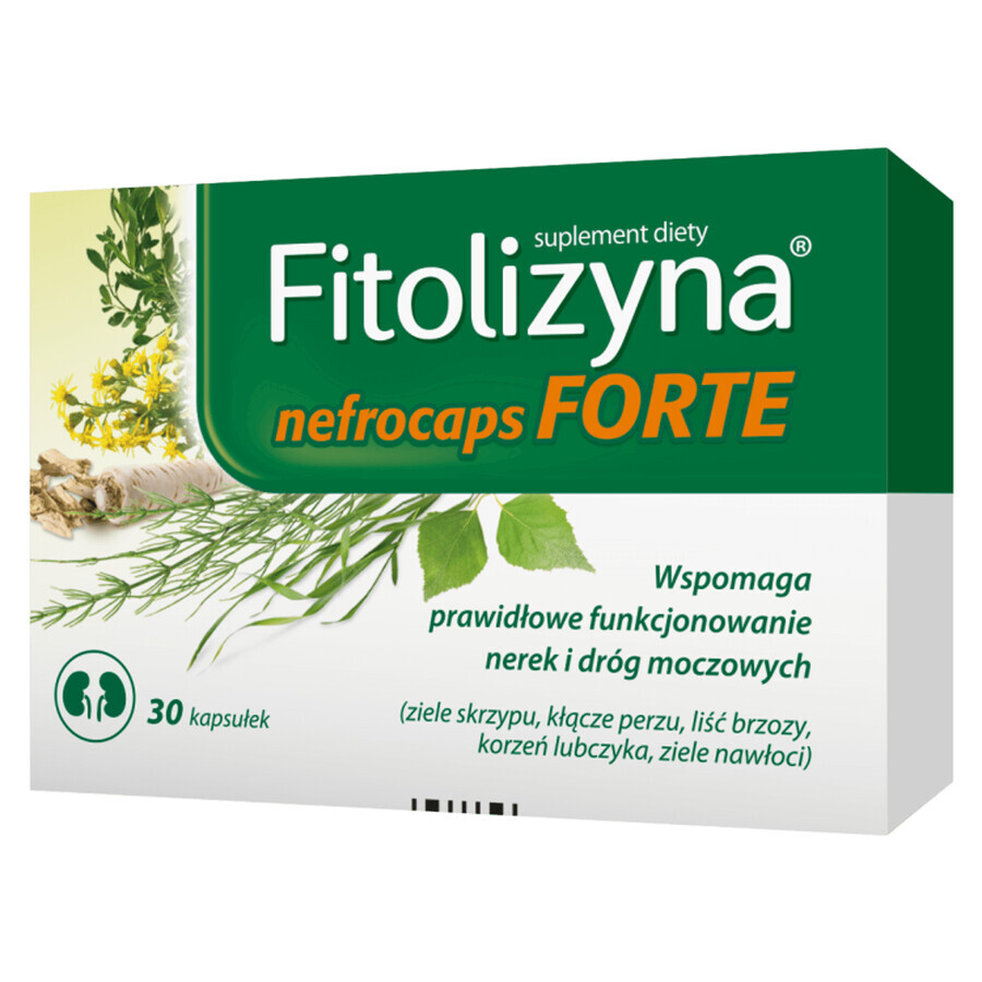 Phytolysin Nefrocaps Forte, 30 gélules EMBALLAGE ENDOMMAGÉ