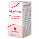 Pharmabest Lactoferrin, oral drops, 7 ml