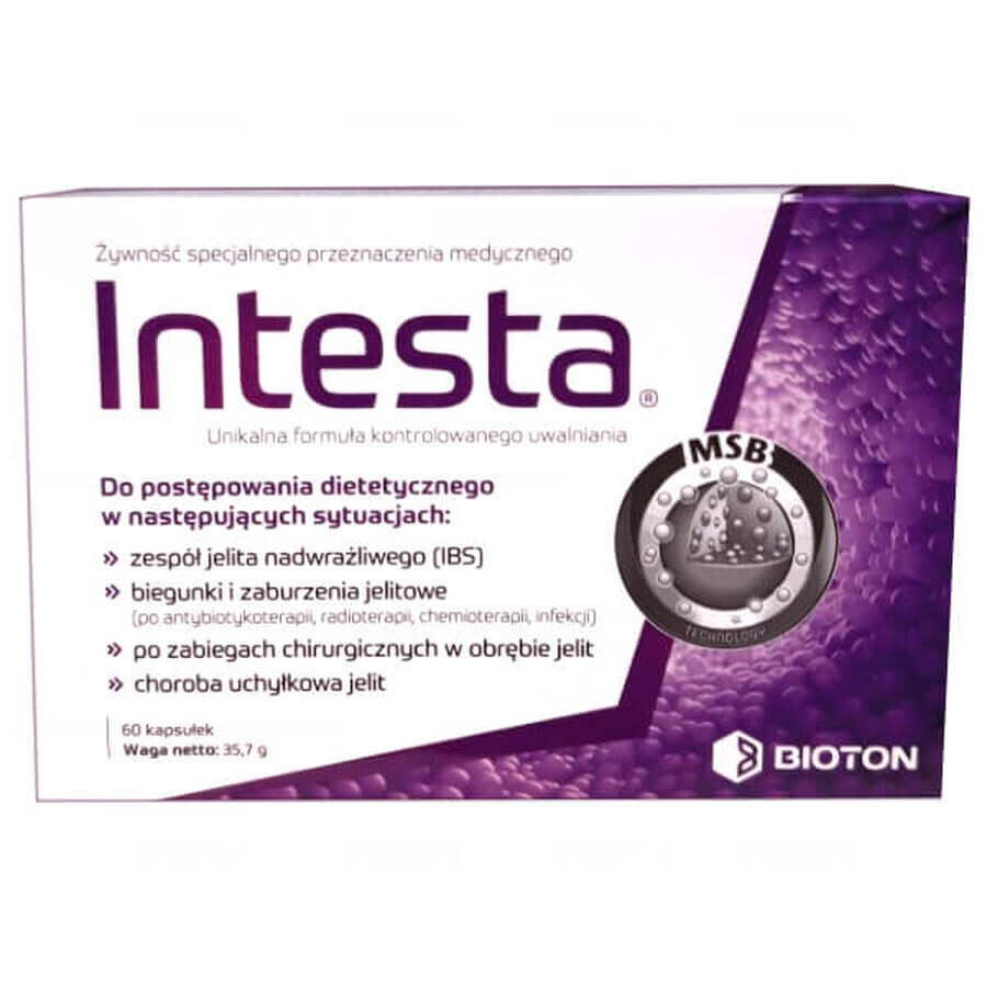 Intesta, 60 gélules