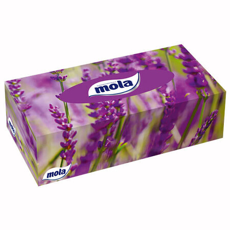 Mola Big Box, fazzoletti per il viso, 120 pezzi