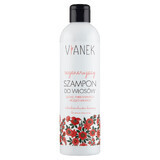 Vianek, Regenerating shampoo for blonde, dyed and bleached hair, 300 ml