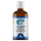 Lactacholine Dr. Jacob's, gouttes, 100 ml