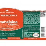 Bromelain and Papain, 60 capsules, Herbagetica