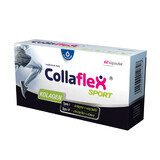 Collaflex Sport, 60 gélules