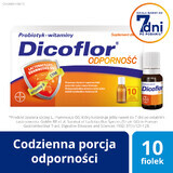 Dicoflor Immunité, pour les enfants à partir de 3 ans et les adultes, 10 ml x 10 flacons