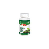 Grüner Tee 400 mg, 60 Kapseln, Adams