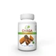 Chaga 450 mg + Vitamine C, 60 capsules, Justin Pharma