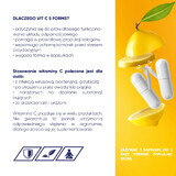 Allnutrition Vit C 5 Formas, 100 cápsulas