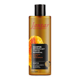 Farmona Jantar, shampooing régénérant à l&#39;essence d&#39;ambre, cheveux faibles et abîmés, 300 ml