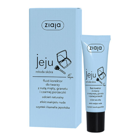 Ziaja Jeju, correcteur fluide visage, teinte naturelle, 30 ml