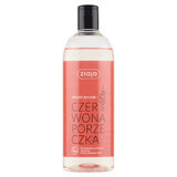 Ziaja Red Currant, shower gel, 500 ml