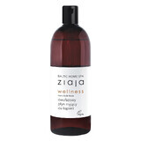 Ziaja Baltic Home Spa Wellness, biphasic washing liquid for the bathroom, 500 ml