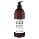 Ziaja Baltic Home Spa Wellness, shower gel, 500 ml