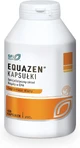 Equazen