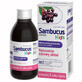 Sambucus Kids, sirop pour enfants de plus d&#39;un an, saveur framboise, 120 ml SHORT DATE