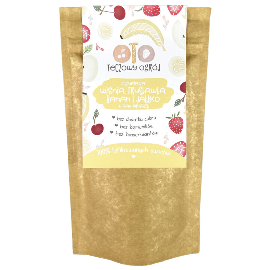 OtoLandia OTO Rainbow Garden Crunchy cerise, fraise, banane et pomme lyophilisés, en morceaux, 20 g