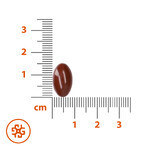 SEMA Lab Phospholipides 300 mg, 50 gélules