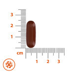 SEMA Lab Phospholipides Max 600 mg, 30 gélules