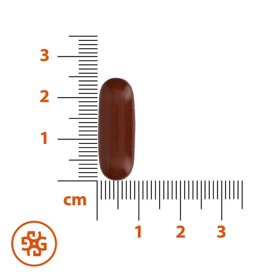 SEMA Lab Phospholipides Max 600 mg, 30 gélules