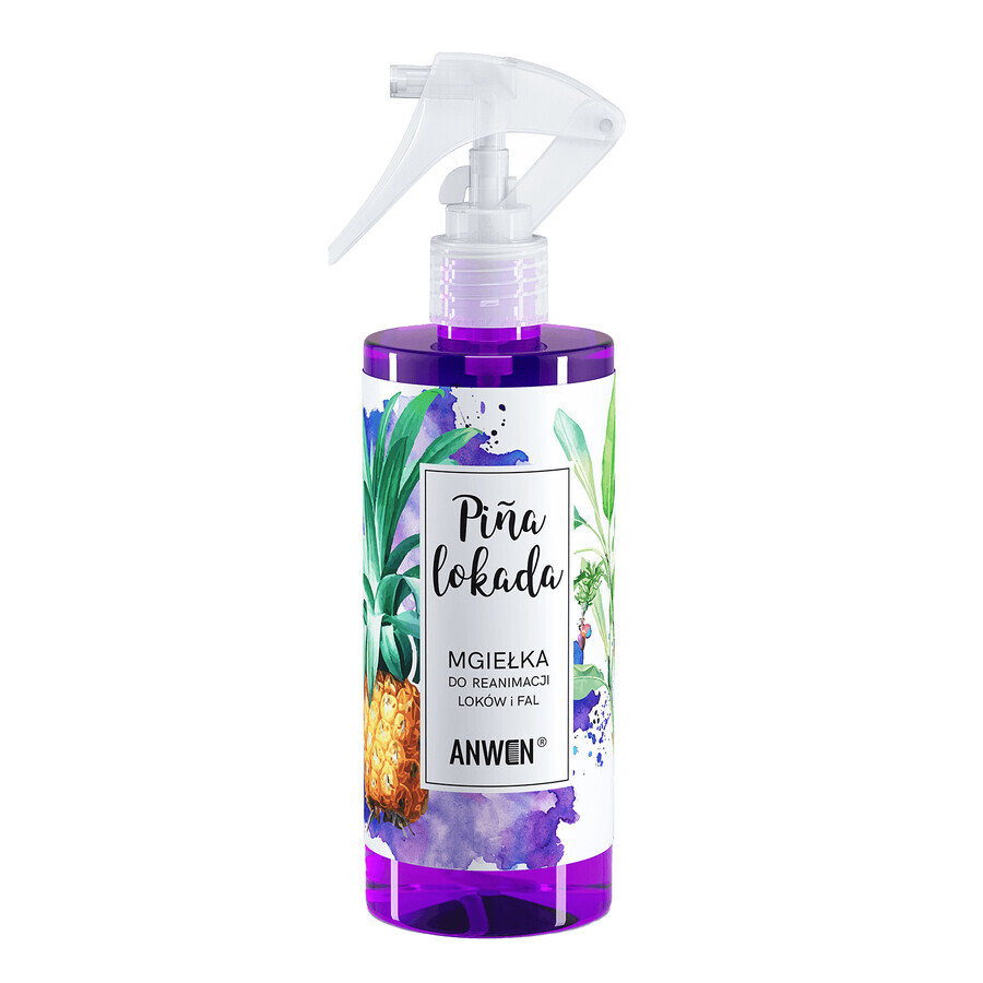 Anwen Pinalocade, brume de réanimation des boucles et des vagues, 300 ml