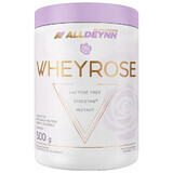 Allnutrition Alldeynn WheyRose Himalayan Salt Peanut Butter Flavor Sugar Free Cookie Chunks 500g