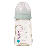 B.Box, biberon avec tétine, sauge, dès la naissance, 180 ml