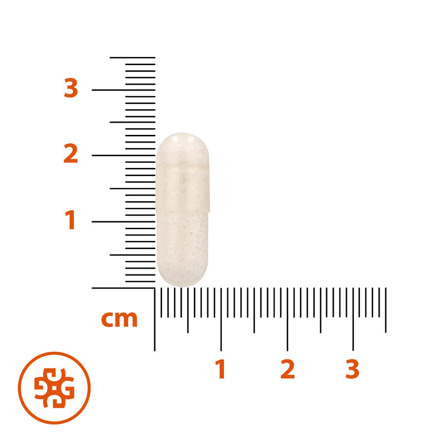 SEMA Lab Butyrate de sodium Max 300 mg, 60 gélules à libération retardée