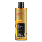 Farmona Jantar, shampooing hydratant à l'essence d'ambre, cheveux secs et cassants, 300 ml