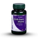 DVR-Stem Imuno, 60 gélules, Dvr Pharm