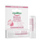 Equilibra Rosa, pink lip balm with hyaluronic acid, 5.5 ml