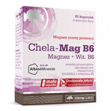 Olimp Chela-Mag B6, 60 gélules