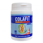 GorVita Colafit, 60 cubes