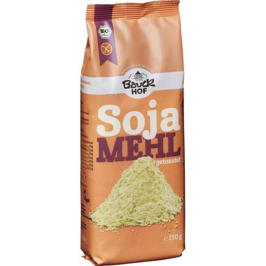 Farine de soja torréfiée BIO, 250 g, Bauckhof