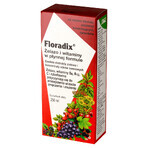 Floradix Fer et Vitamines, 250 ml