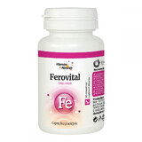 Ferovital Vitamine und Mineralien, 60 Tabletten, Dacia Plant