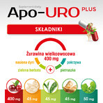 Apo-URO Plus, 30 gélules