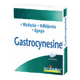 Boiron Gastrocynesine, 60 tablets