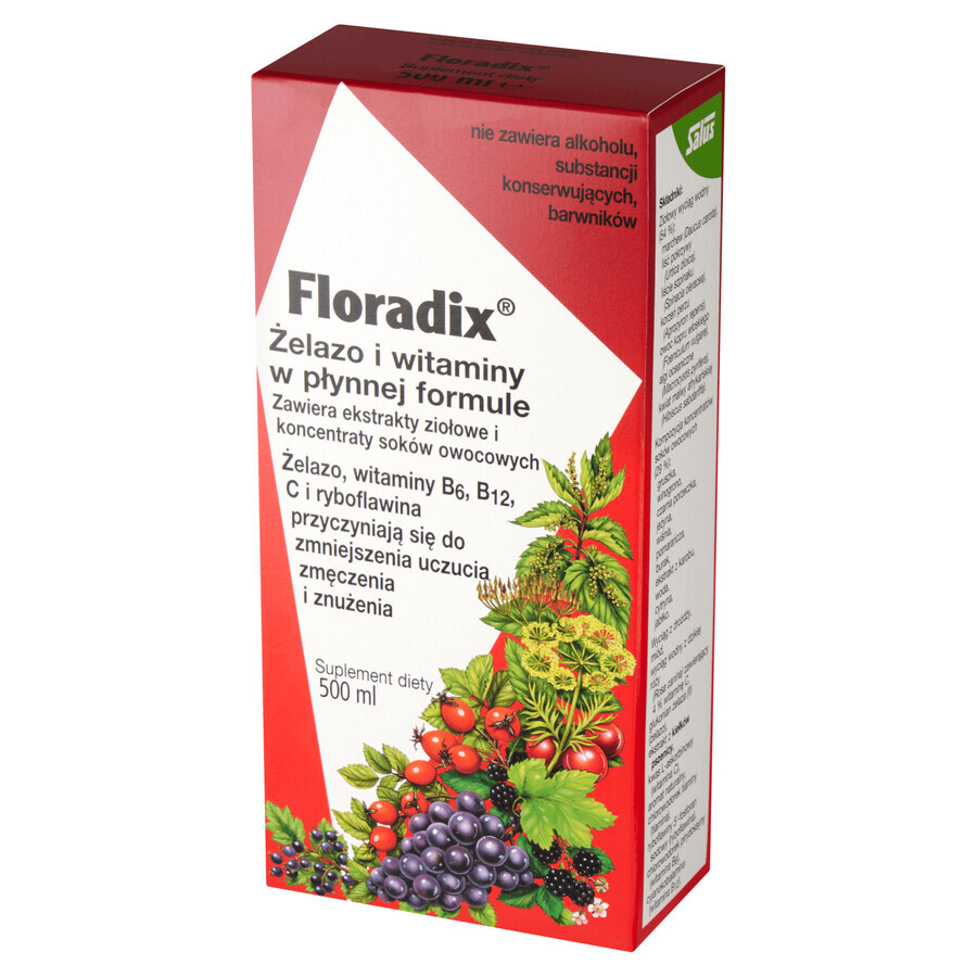 Floradix ijzer &amp; vitaminen, 500 ml