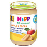 Hipp Fruit and Cereal Bio, măr și banană cu biscuiți, după 4 luni, 190 g